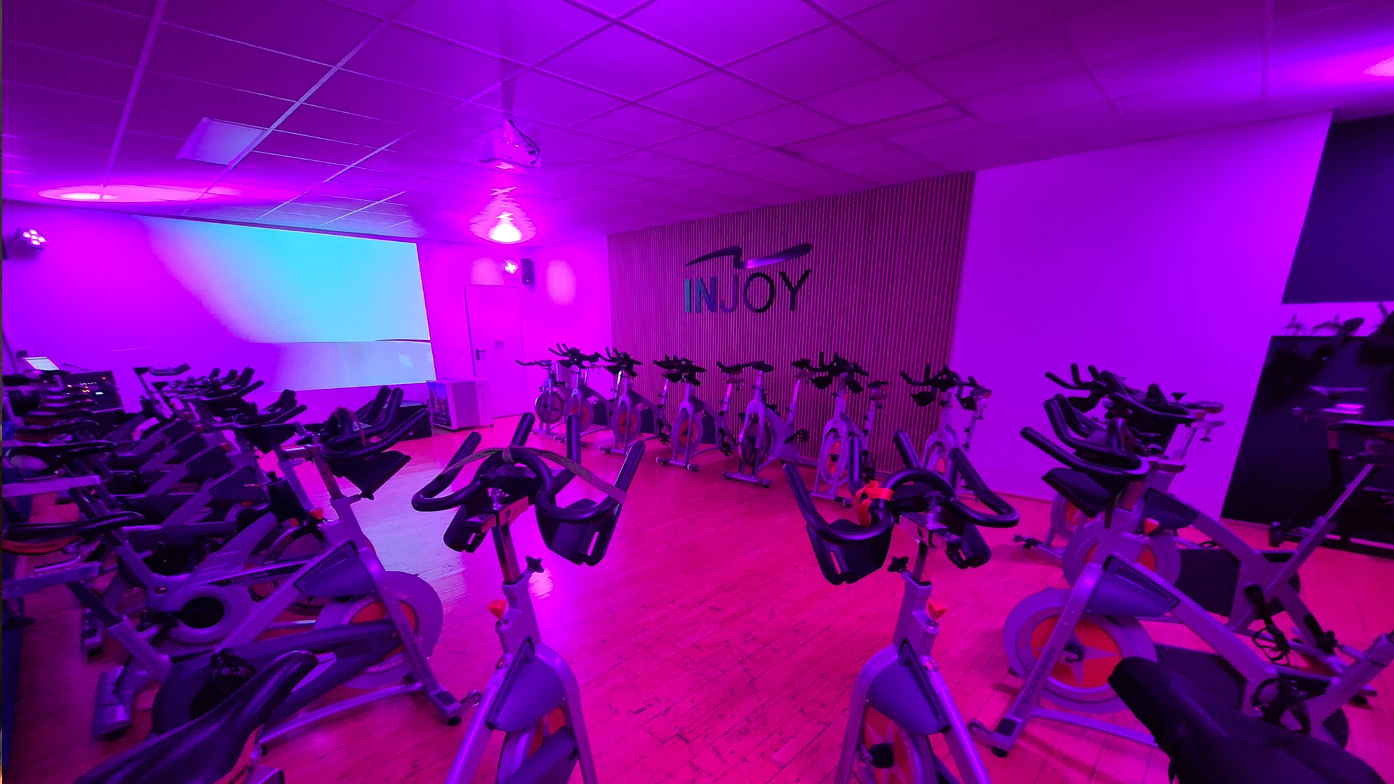 Der TRX und Functional Trainingsbereich im INJOY Fitnessstudio Reichenbach.